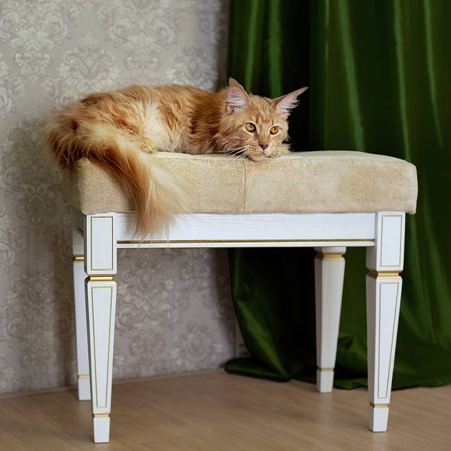 Банкетка Васко В 97Н белый ясень/золото Банкетка Васко В 97Н белый ясень/золото