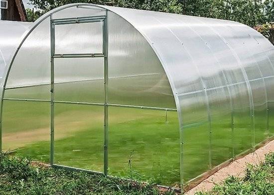 Теплица Агросфера Титан 6м